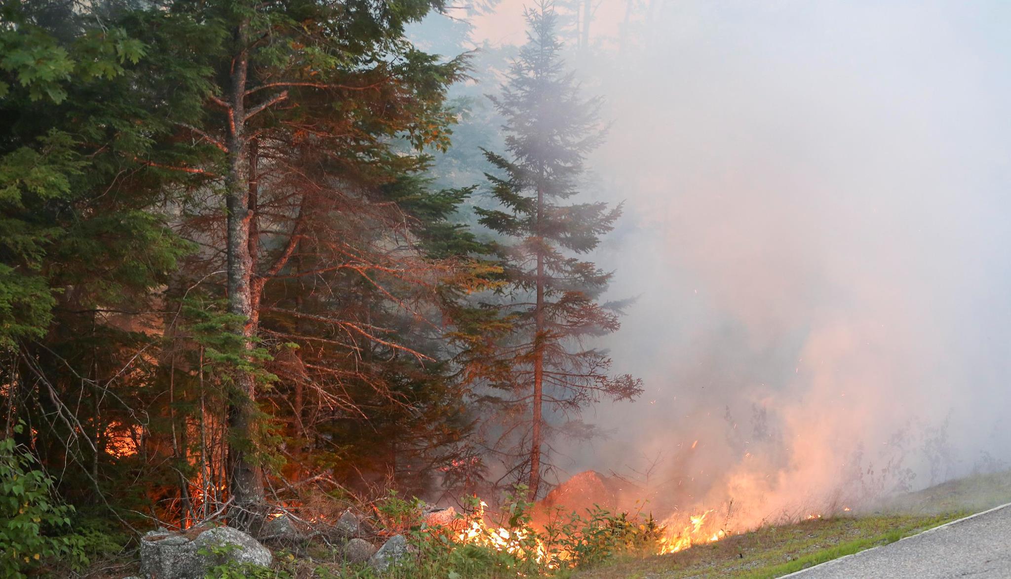 ‘Extreme fire activity’ expected in Nova Scotia as wildfire grows Image