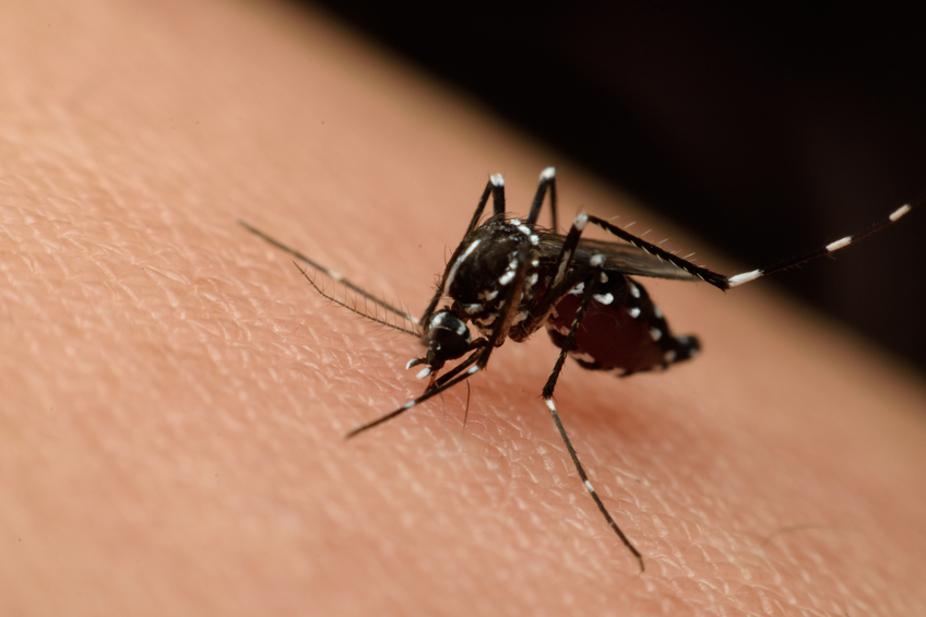 Spread of Zika virus brings new risks to U.S. carriers, insureds Image