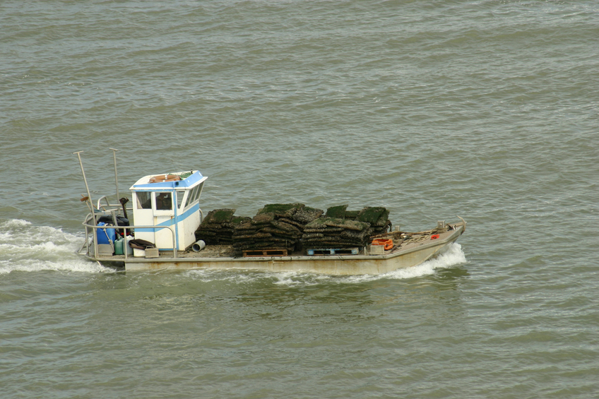 Transportation Safety Board investigating 12 marine incidents in Canada, attributes some deaths to lack of risk assessments Image
