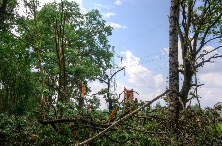 [Updated]: Possible tornado in Windsor, Ont., area damages homes; 3 injured Image
