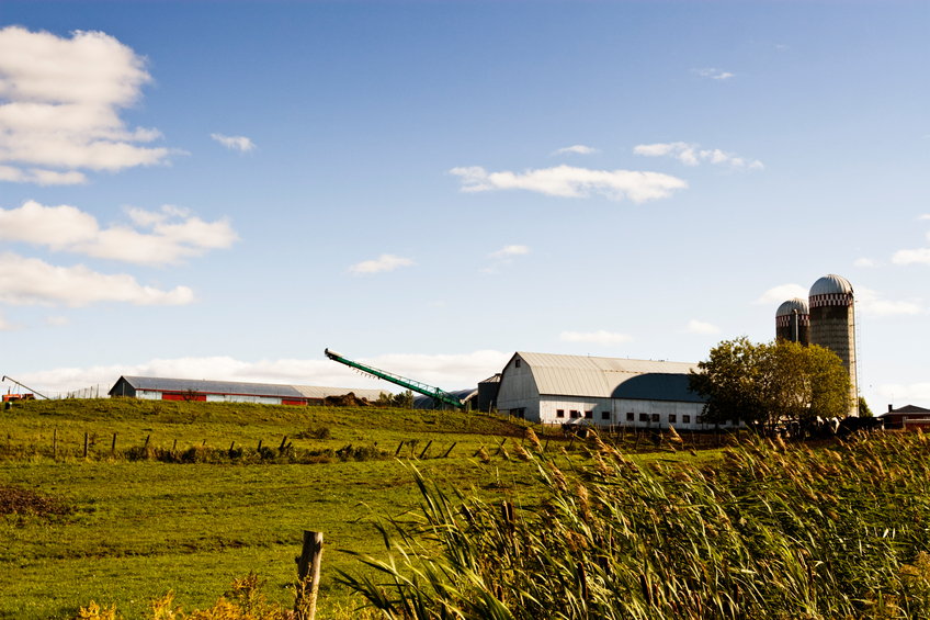 Quebec farm income stabilization program not a contract of insurance: Supreme Court of Canada Image