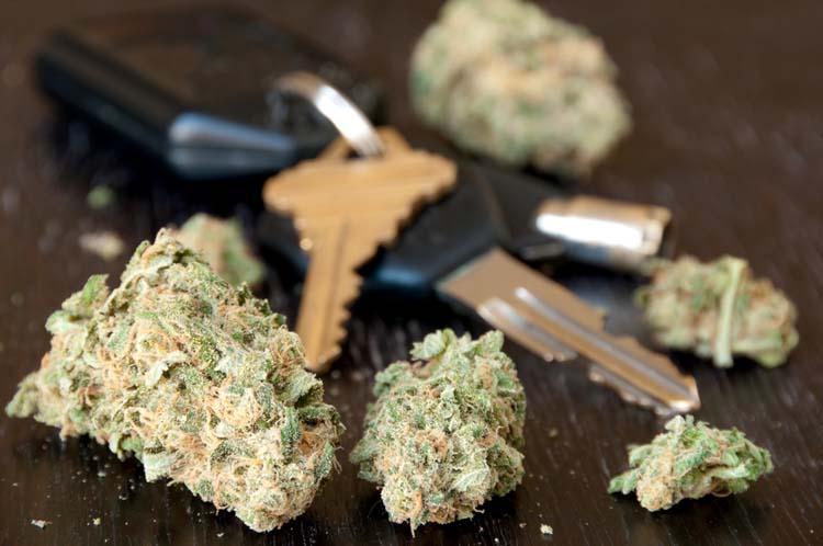 Three-day roadside suspensions for drug-impaired Ontario drivers start Oct. 2 Image