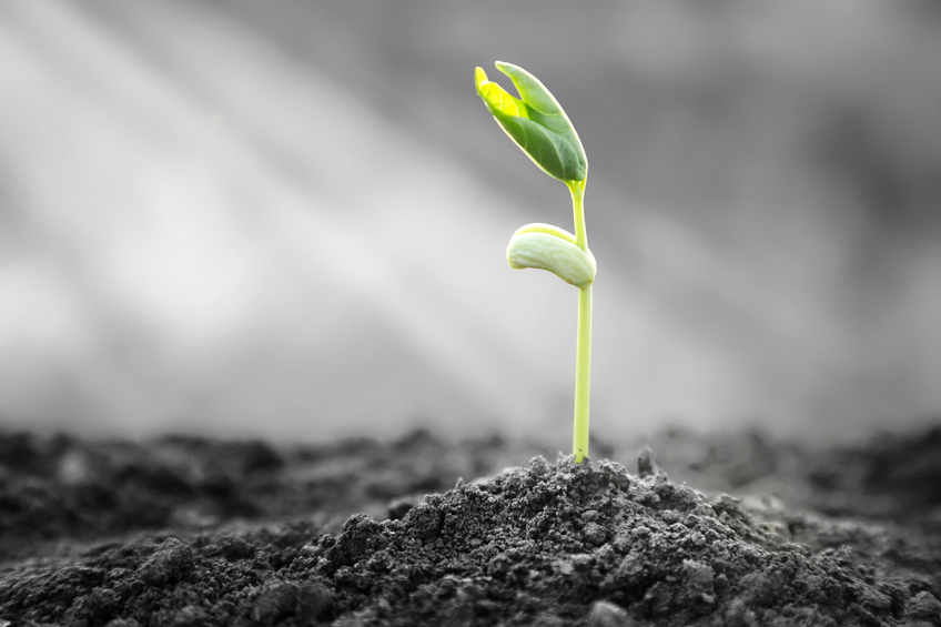 Resilience should be a goal of all organizations Image