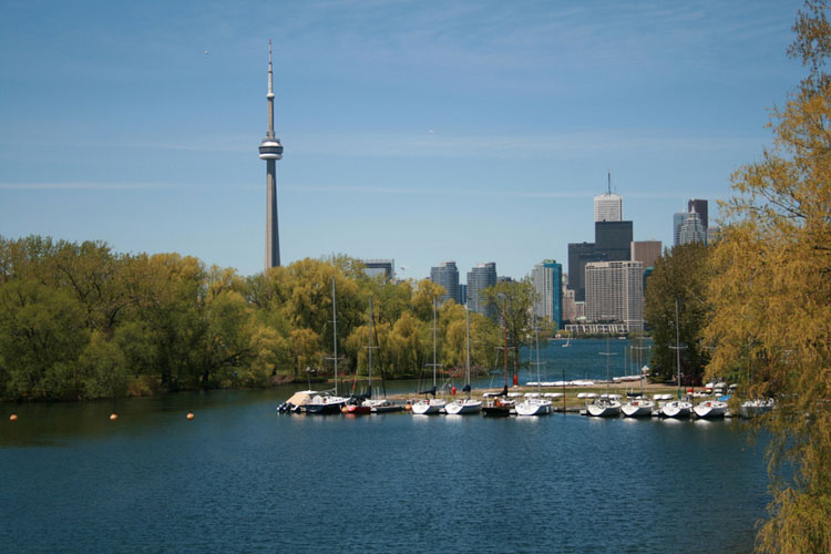 Response to marine emergency ‘uncoordinated’ after intoxicated passenger fell overboard: TSB Image