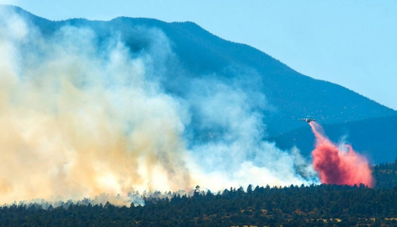 Colorado wildfire destroys eight homes, forces evacuations Image
