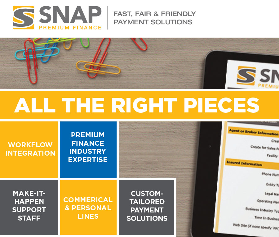 SNAP is Bringing All The Right Pieces Together at the IBAO Convention Image