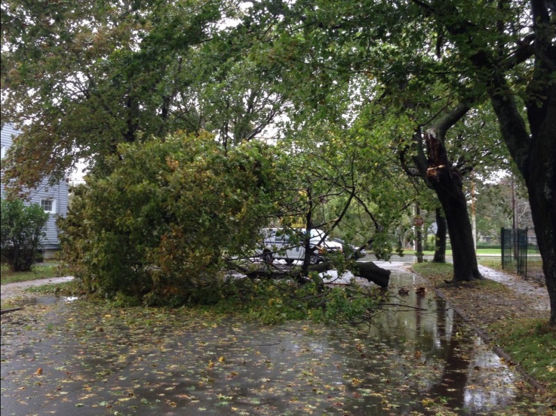Heavy rains and strong winds wreaking havoc in the Maritimes Image
