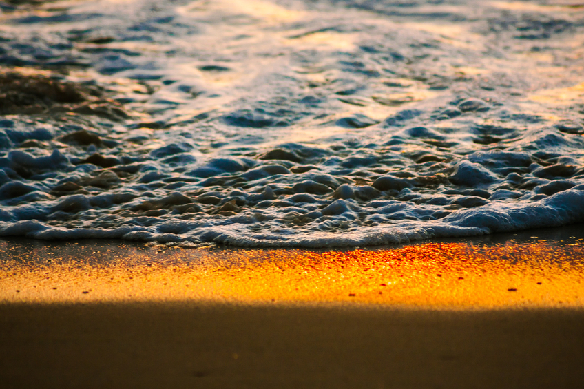 Vancouver planning additional measures to combat damage, costs associated with sea level rise Image