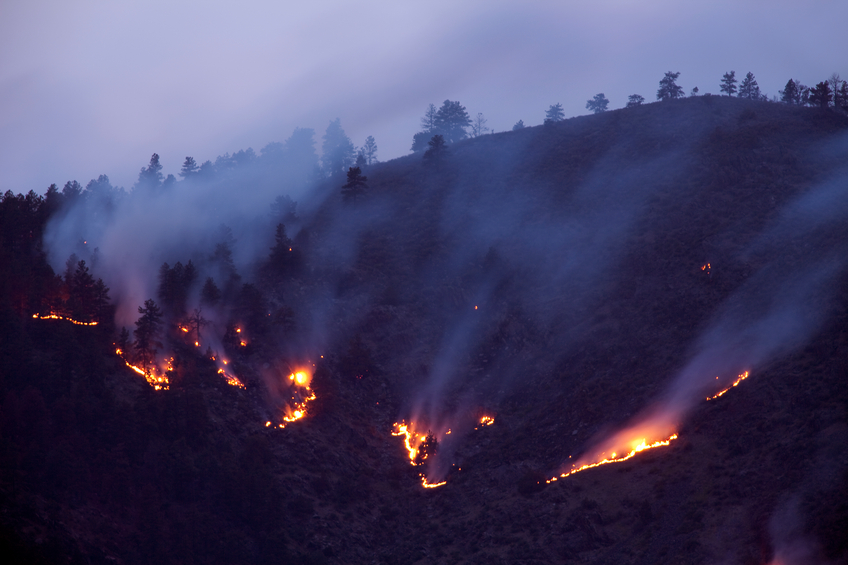 Human-caused climate change has doubled western U.S. forest fire area, new study finds Image