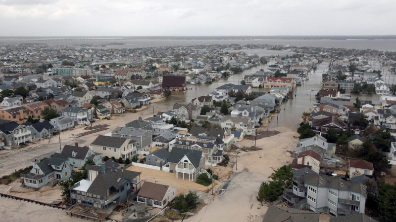 Coastal wetlands prevented more than US$625 million in property damages during Hurricane Sandy in 2012: report Image