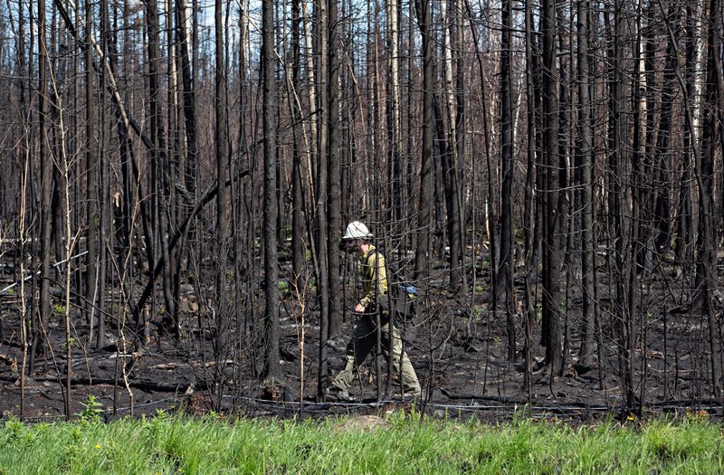 Fort McMurray will hit Canadian’s p&c industry financial results in 2016: A.M. Best Image