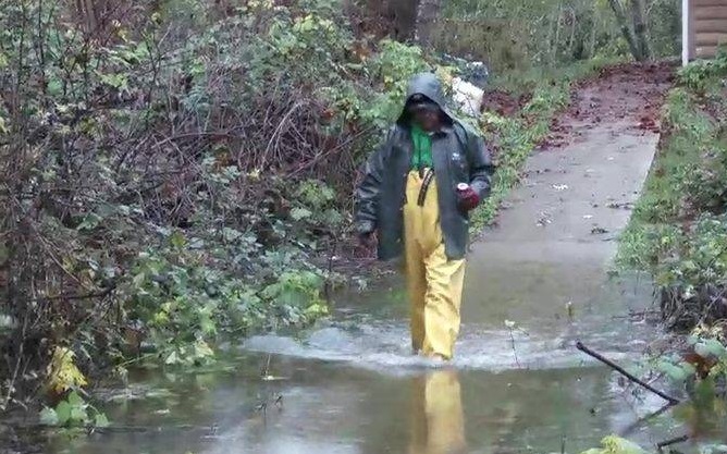 Evacuation warning as rivers rise near Port Alberni, B.C. Image