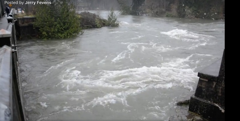 Eleven families evacuated as flooding hits near Port Alberni, B.C. Image