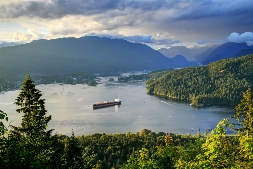 Oceans Protection Plan includes robust polluter-pay approach to abandoned, derelict and wrecked vessels Image