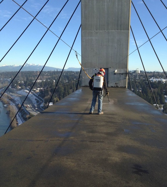 B.C. transportation ministry to use helicopter to clear Vancouver-area bridge cables of snow Image