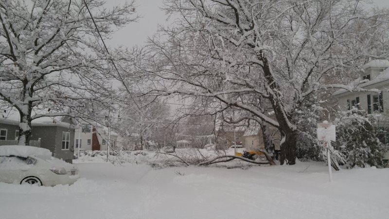 New Brunswick expecting more snow, rain as crews work to restore power Image