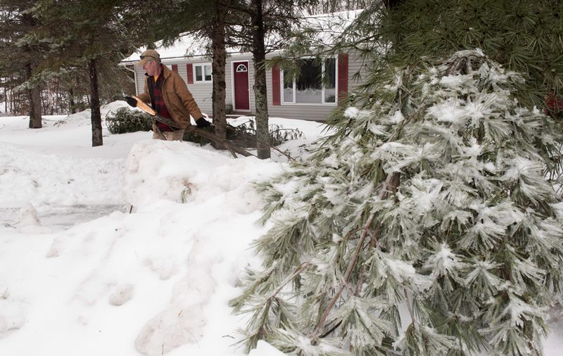 Storm knocks out power, closes schools in parts of Atlantic Canada Image