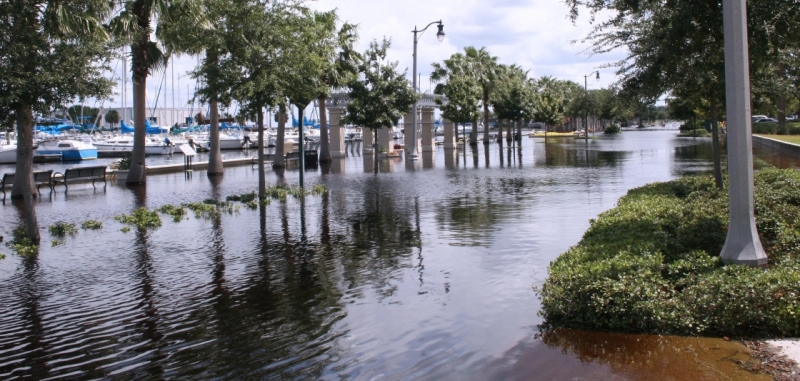 NOAA and partners develop new regional sea level scenarios to help U.S. communities prepare for risks Image