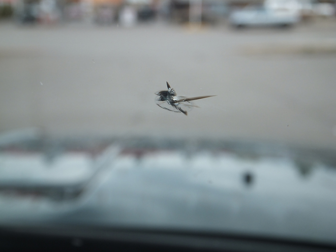 Free windshield chip repair to be included in ICBC optional coverage Image