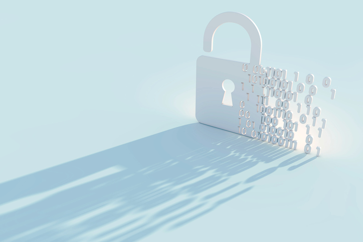 Small firms wanting cyber coverage should “hold an inventory” of personally identifiable information: Chubb Image