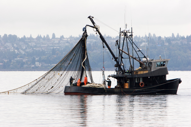 Death rate on Canadian fishing vessels a ‘disturbing statistic,’ warns Transportation Safety Board Image