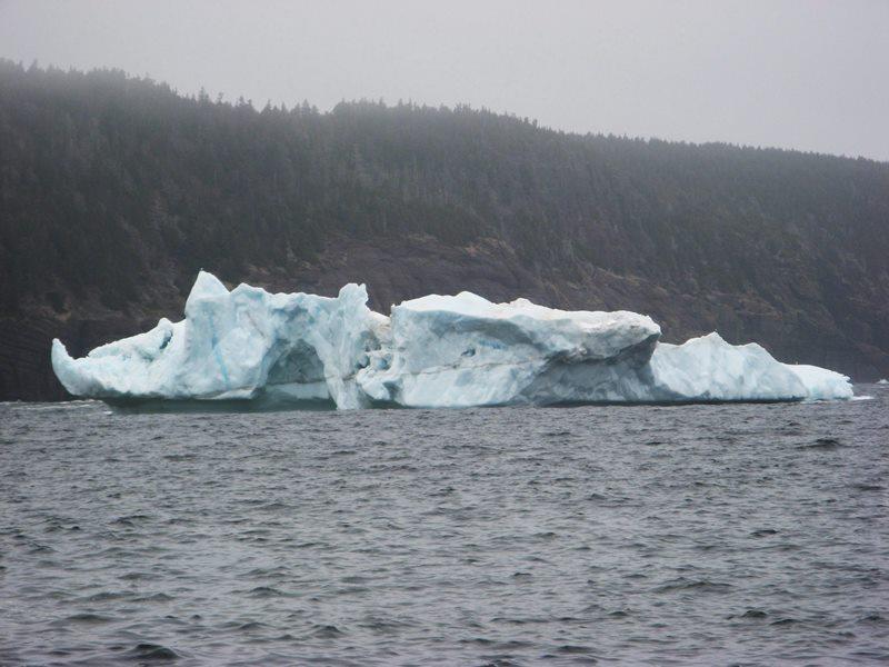 Hundreds of icebergs clog shipping lanes, forcing ships to reroute Image