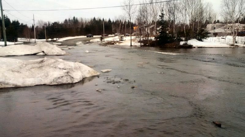 Ice jam causes minor flooding in N.B., water levels in Fredericton area to increase near flood stage Image
