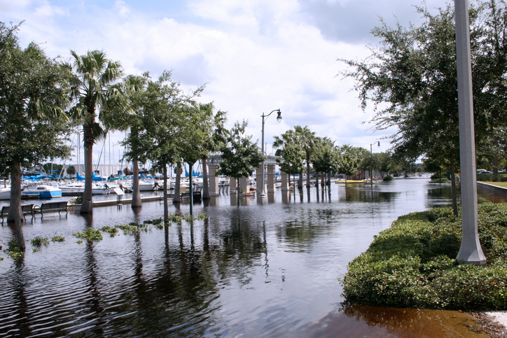 U.S. senate committee holding field hearing on economic impacts of extreme weather and coastal flooding Image