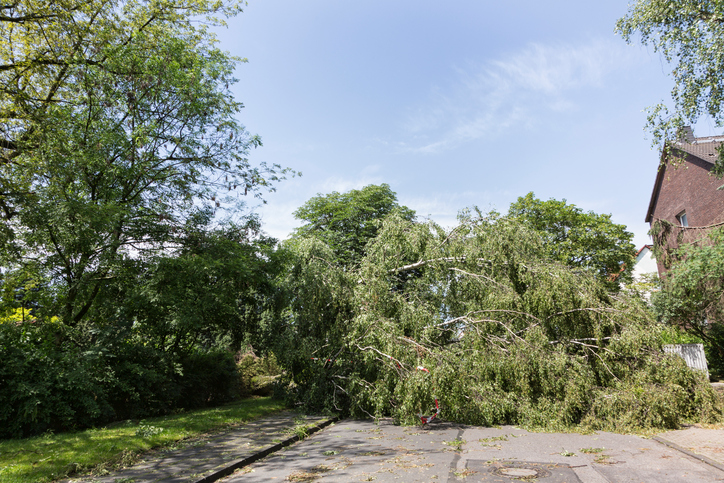 PERILS discloses second property loss estimate of 234 million euros for extratropical cyclone Egon Image
