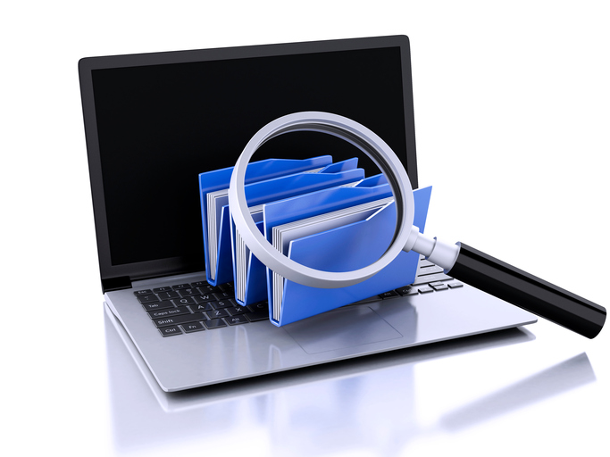 More than 23 million eDocs transmitted in 2016: CSIO chair Image