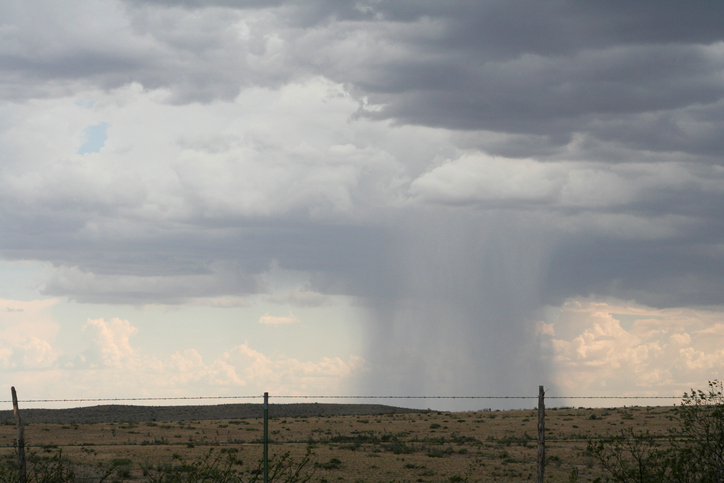 PERILS discloses second loss estimate of 249 million euros for windstorm Thomas Image