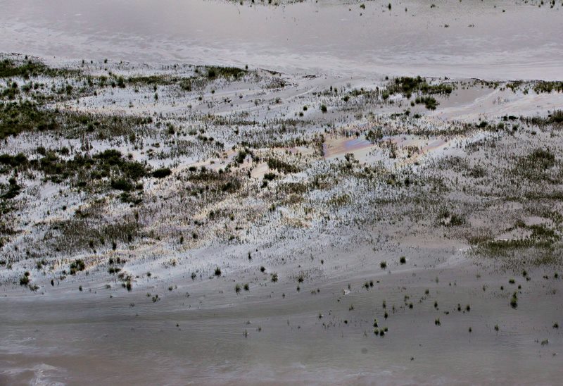 Auditor calls for better pipeline regulations, monitoring in Saskatchewan Image