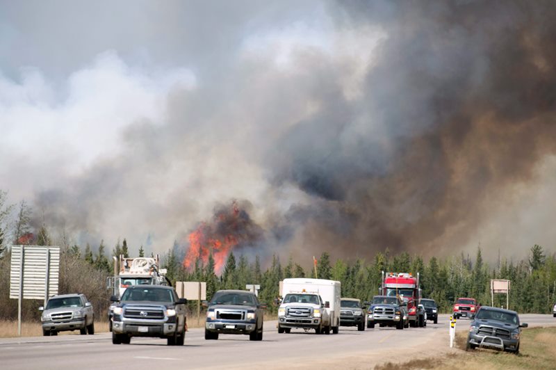 Report into Fort McMurray wildfire cites communications breakdown in early days Image