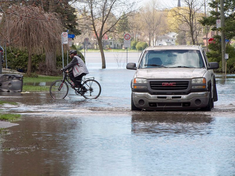 Quebec homeowners face potential post-flooding woes: mosquitoes, critters, parasites Image