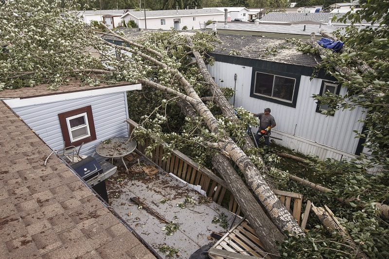 Red Deer cleaning up from windstorm after declaring state of emergency Image