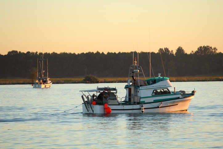 TSB calls for ‘oversight for all commercial fishing operations’ in Canada Image