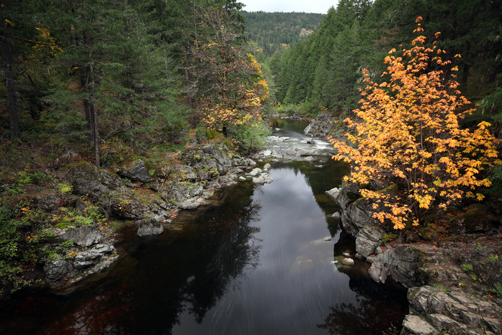 B.C.’s River Forecast Centre issues high streamflow advisory, but flooding fears beginning to ease Image