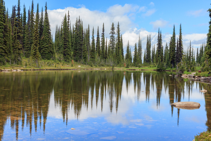 Flood watches issued for several B.C. rivers in wake of powerful storms Image