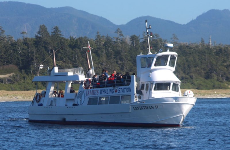 TSB calls for ‘explicit risk management processes’ for commercial passenger vessel operators Image