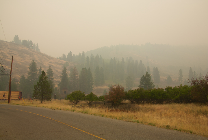 Trans-Canada Highway closed as wildfire spreads west of Kamloops, B.C. Image