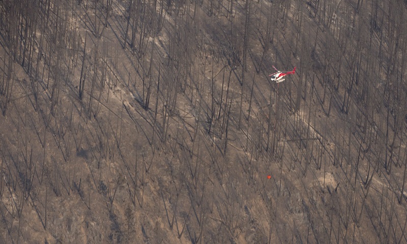 B.C. tourism industry taking major hit due to wildfires Image