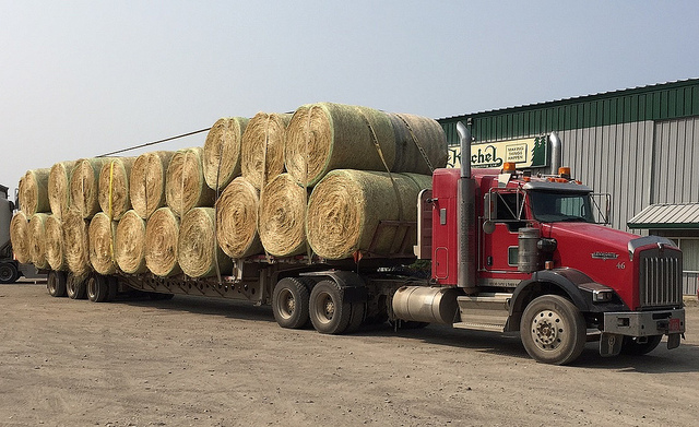 B.C. and federal governments assessing impact of wildfires on province’s agriculture sector Image