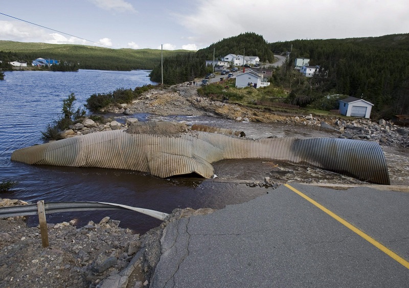 Provincial, local governments should consider mandatory hurricane interpretation training: ICLR report Image