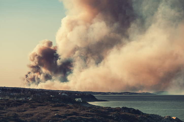 New Brunswick minister issues order restricting forestry operations to help mitigate fire risks Image