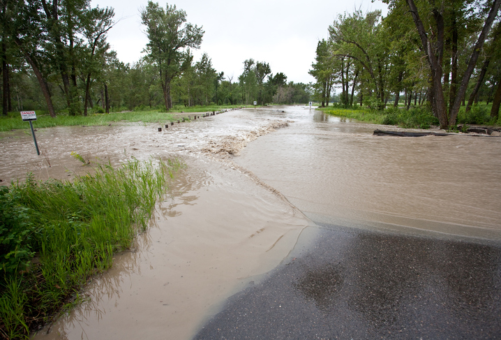 Alberta government addressing flood resilience in Calgary Image