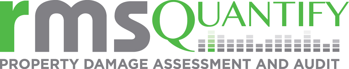 Mona El-Behairy Joins rmsQuantify as Business Development Manager, Central Region Image