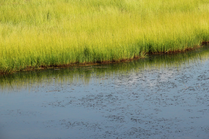 Ontario government proposes to ‘strengthen’ conservation authorities’ flood protection role Image
