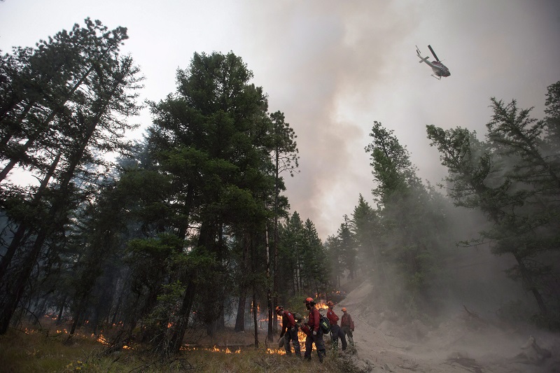 Climate change added to historic fire season by making it more extreme: University of Alberta researcher Image
