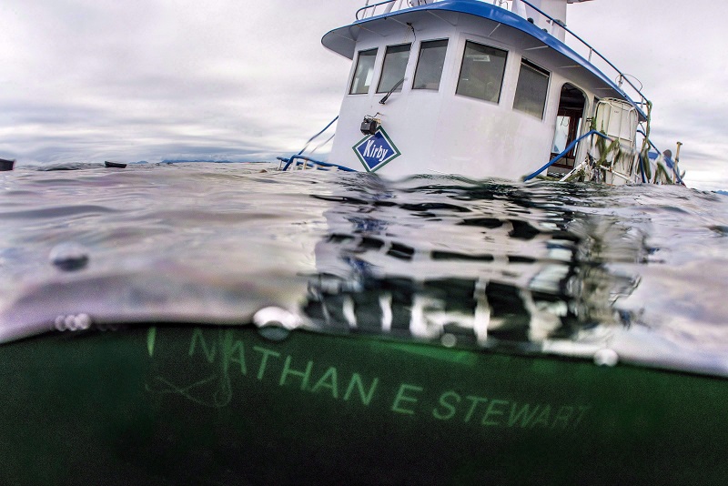 B.C. strengthens spill response regulations Image