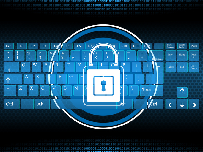 The thinking behind BFL’s ‘turnkey solution’ for cyber clients Image